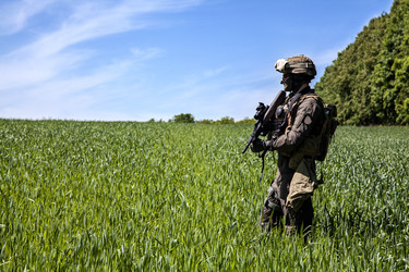 Similar image 8441898