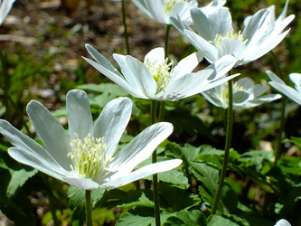 Similar image 8442211