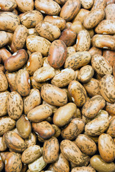 Similar image 8442251