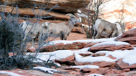 Similar image 8442302