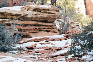 Similar image 8442321