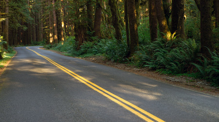 Similar image 8442969