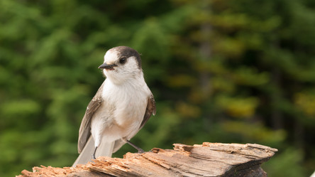 Similar image 8442986