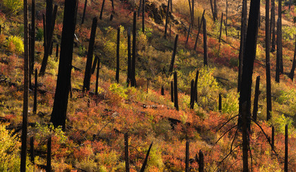 Similar image 8442992