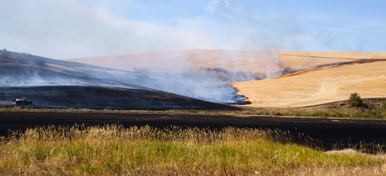 Similar image 8442993