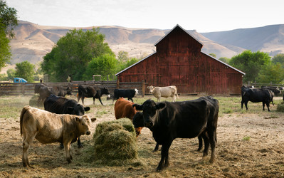 Similar image 8443427