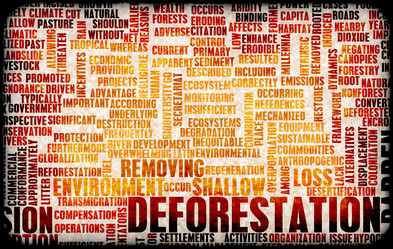 Similar image 8443813