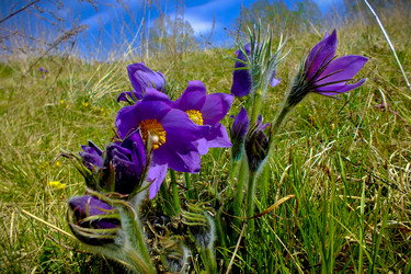 Similar image 8444417