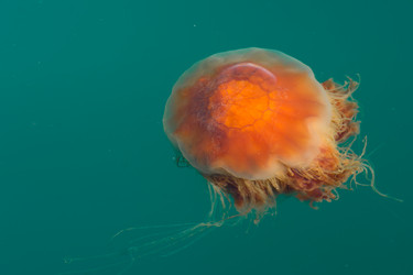 Similar image 8444423