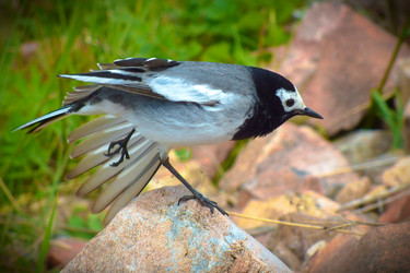 Similar image 8444771