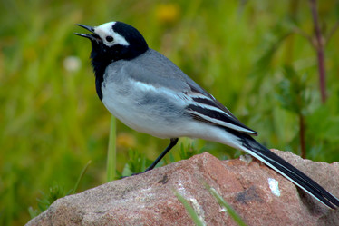 Similar image 8444772