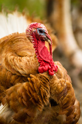 Similar image 8444774