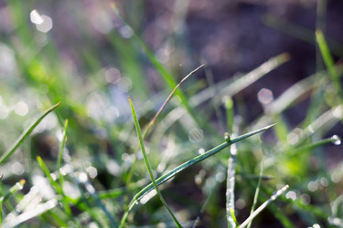 Similar image 8445572