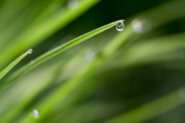 Similar image 8445600