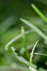 Similar image 8445602