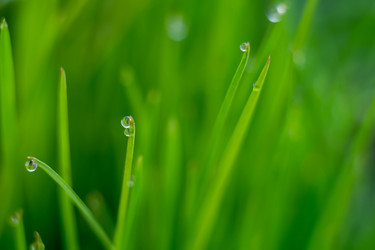 Similar image 8445603