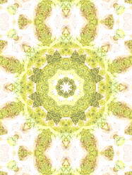 Similar image 8445676