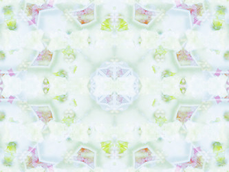 Similar image 8445681