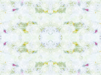 Similar image 8445682