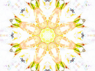 Similar image 8445697