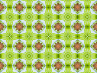 Similar image 8445719