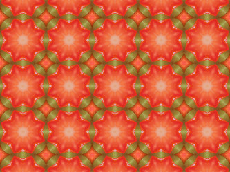 Similar image 8445732