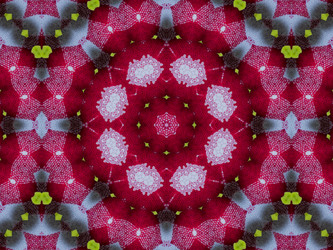 Similar image 8445783