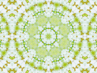 Similar image 8445785