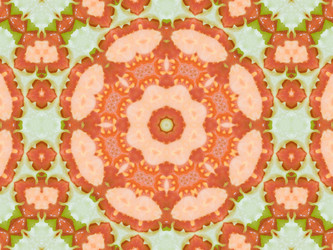 Similar image 8445795