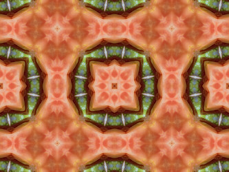 Similar image 8445809