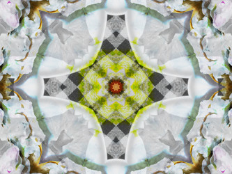 Similar image 8445823