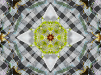 Similar image 8445825