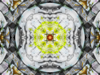 Similar image 8445826