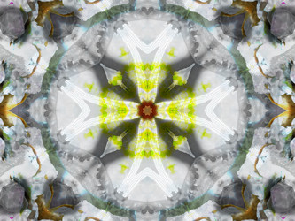 Similar image 8445837