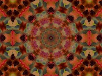 Similar image 8445878