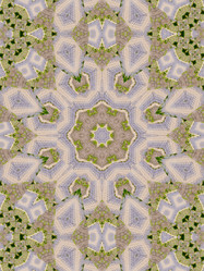 Similar image 8445896