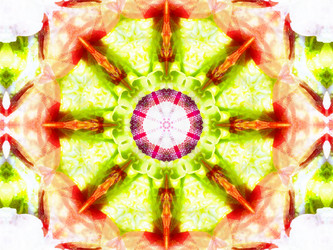 Similar image 8445897