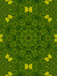 Similar image 8445899