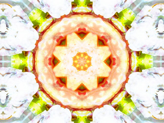 Similar image 8445898