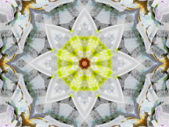 Similar image 8445900