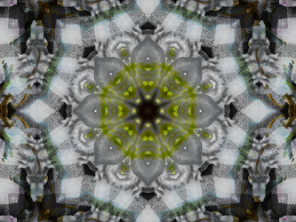 Similar image 8445901