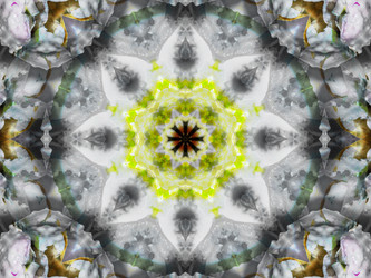 Similar image 8445904