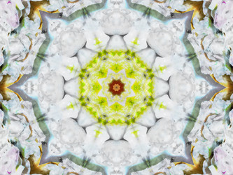 Similar image 8445906