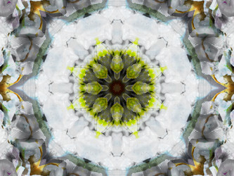 Similar image 8445908