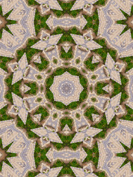 Similar image 8445915