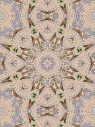 Similar image 8445916