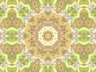 Similar image 8446178