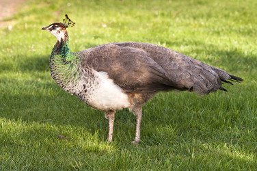 Similar image 8446209