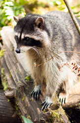 Similar image 8446420