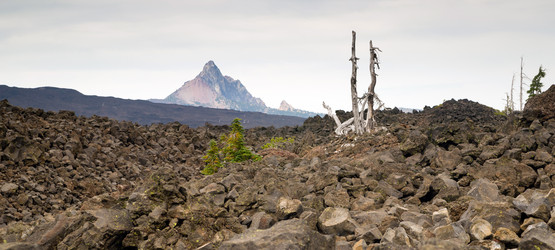 Similar image 8446428